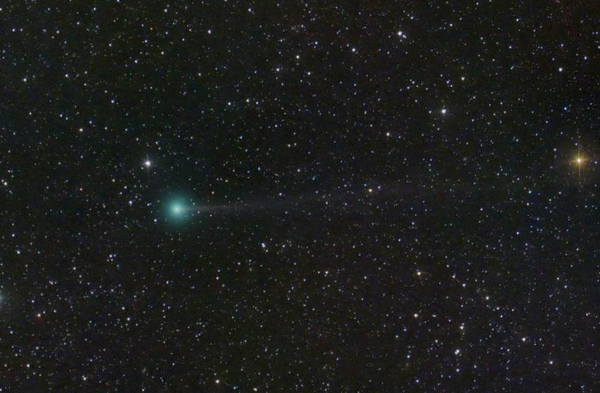 kometa nisimura